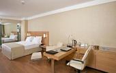 Туры в отель Anemon Hotel Malatya