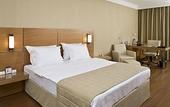 Туры в отель Anemon Hotel Malatya