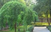 Туры в отель Hangzhou The New Hotel