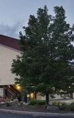 Туры в отель Red Roof Inn Lansing West - MSU