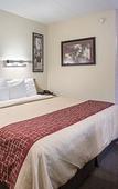 Туры в отель Red Roof Inn Lansing West - MSU