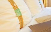 Туры в отель Quality Hotel Brno Exhibition Centre