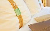 Туры в отель Quality Hotel Brno Exhibition Centre