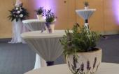 Туры в отель Quality Hotel Brno Exhibition Centre