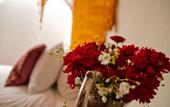 Туры в отель Hotel Boutique La Casa del Naranjo