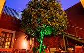 Туры в отель Hotel Boutique La Casa del Naranjo