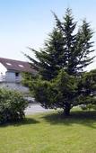Туры в отель Hotel Campanile Montargis - Amilly