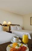 Туры в отель Fiesta Inn Ciudad Juarez