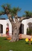 Туры в отель La Casarana Wellness Eco Resort