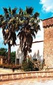Туры в отель La Casarana Wellness Eco Resort