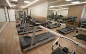 Туры в отель Hotel Vivenzo