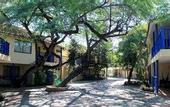 Туры в отель Estelar Santamar Hotel & Centro de Convenciones