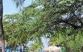 Туры в отель Estelar Santamar Hotel & Centro de Convenciones