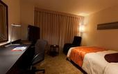 Туры в отель Crowne Plaza ANA Nagasaki Gloverhill by IHG