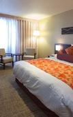 Туры в отель Crowne Plaza ANA Nagasaki Gloverhill by IHG