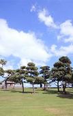 Туры в отель Kagoshima Sunamushi Onsen Ibusuki Hakusuikan