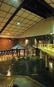 Туры в отель Kagoshima Sunamushi Onsen Ibusuki Hakusuikan