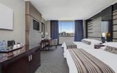 Туры в отель Protea Hotel by Marriott Lusaka Tower