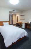 Туры в отель Daiwa Roynet Hotel Toyama