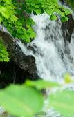 Туры в отель Niseko Konbu Onsen Tsuruga Besso Moku No Sho