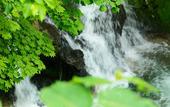 Туры в отель Niseko Konbu Onsen Tsuruga Besso Moku No Sho