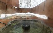 Туры в отель Niseko Konbu Onsen Tsuruga Besso Moku No Sho