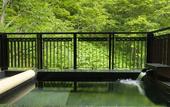 Туры в отель Niseko Konbu Onsen Tsuruga Besso Moku No Sho
