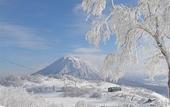 Туры в отель Niseko Northern Resort An'nupuri