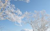 Туры в отель Niseko Northern Resort An'nupuri