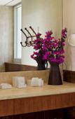 Туры в отель Hotel Fasano Boa Vista