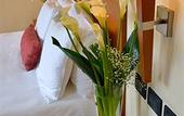 Туры в отель Hotel dei Cavalieri Caserta
