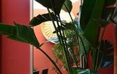 Туры в отель Hotel dei Cavalieri Caserta