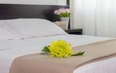 Туры в отель Hotel Santa Chiara