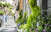 Туры в отель Hotel Santa Chiara