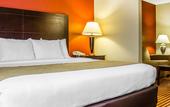 Туры в отель Comfort Inn & Suites Dayville - Killingly Industrial Park