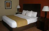 Туры в отель Comfort Inn & Suites Dayville - Killingly Industrial Park