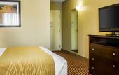 Туры в отель Comfort Inn & Suites Dayville - Killingly Industrial Park