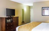 Туры в отель Comfort Inn & Suites Dayville - Killingly Industrial Park