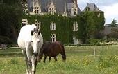 Туры в отель Chateau de l'Epinay
