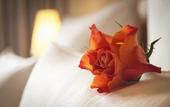 Туры в отель Parkhotel Bremen – ein Mitglied der Hommage Luxury Hotels Collection