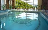 Туры в отель Seneca Allegany Resort & Casino