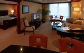 Туры в отель Seneca Allegany Resort & Casino
