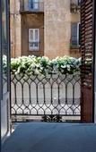 Туры в отель B&B White