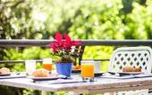 Туры в отель Novotel Porto Alegre Tres Figueiras Hotel