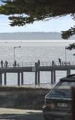 Туры в отель North Pier Hotel