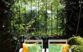 Туры в отель Tree of Life Nature Resort