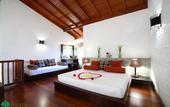 Туры в отель Tree of Life Nature Resort