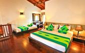 Туры в отель Tree of Life Nature Resort