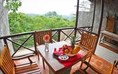 Туры в отель Tree of Life Nature Resort
