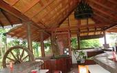 Туры в отель Tree of Life Nature Resort